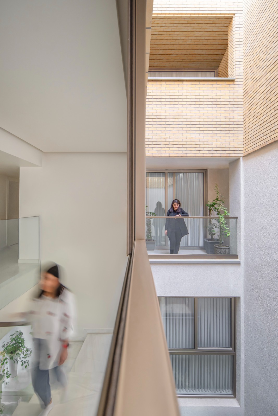 BIM建筑|2 IVANs, 2 HOUSEs / HAMAAN Studio BIM建筑|2 IVANs, 2 HOUSEs / HAMAAN Studio