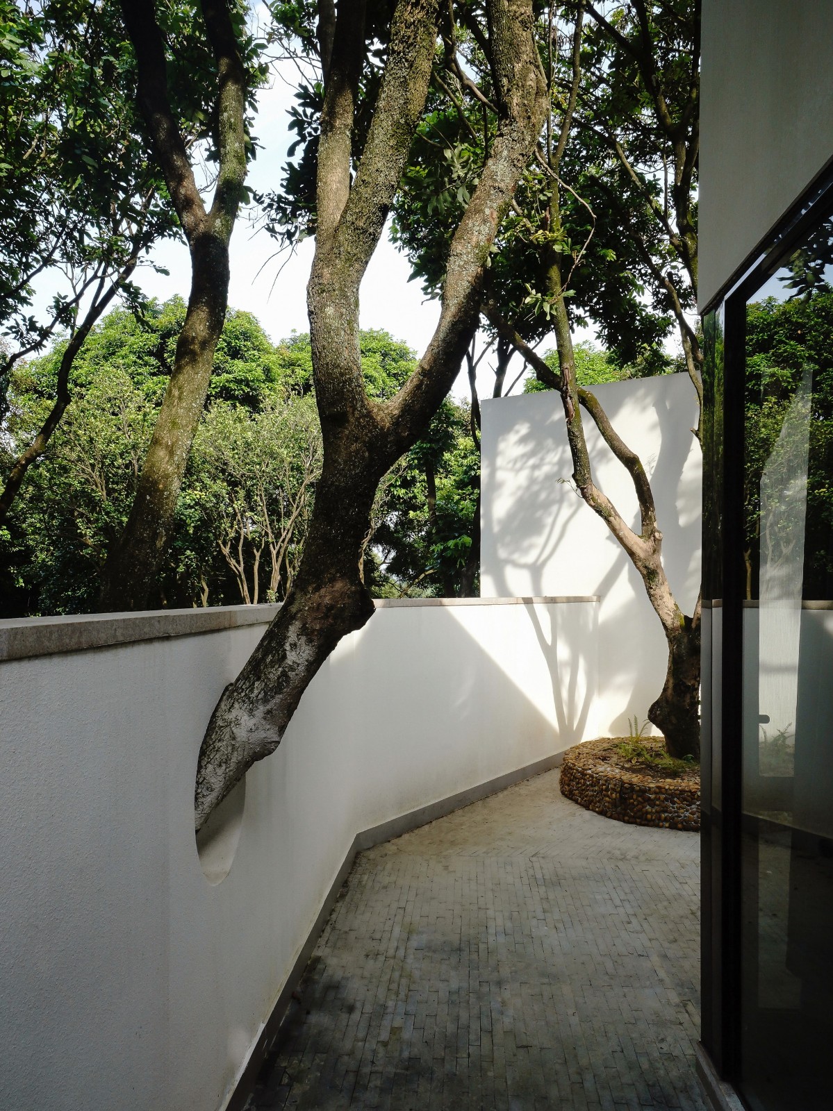 BIM建筑|龙眼树下的院子 / 在场建筑 BIM建筑|龙眼树下的院子 / 在场建筑