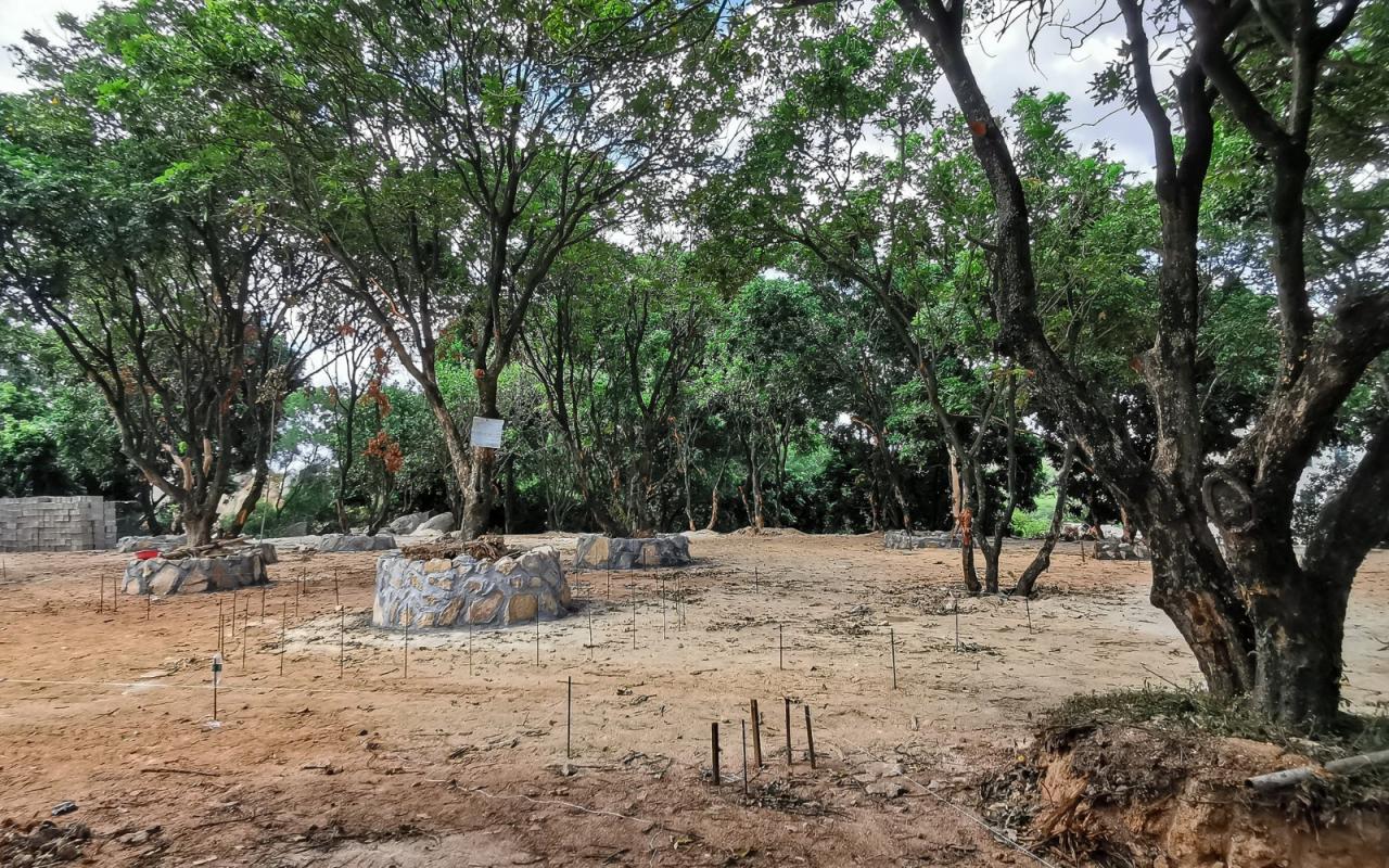 BIM建筑|龙眼树下的院子 / 在场建筑 BIM建筑|龙眼树下的院子 / 在场建筑