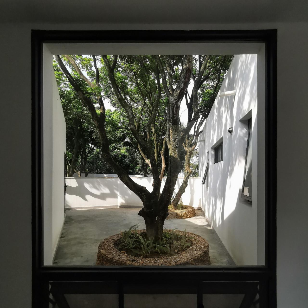 BIM建筑|龙眼树下的院子 / 在场建筑 BIM建筑|龙眼树下的院子 / 在场建筑