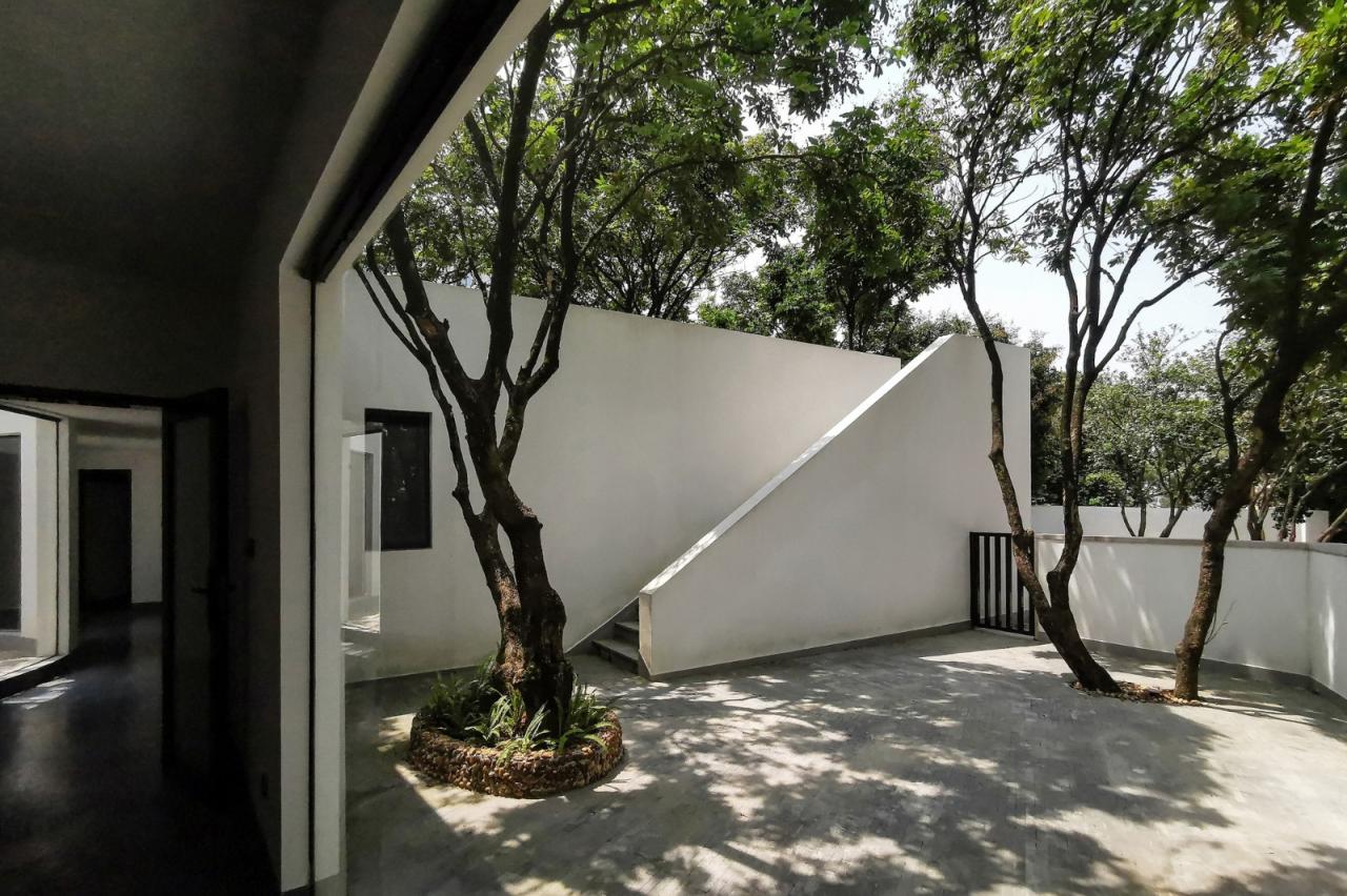 BIM建筑|龙眼树下的院子 / 在场建筑 BIM建筑|龙眼树下的院子 / 在场建筑