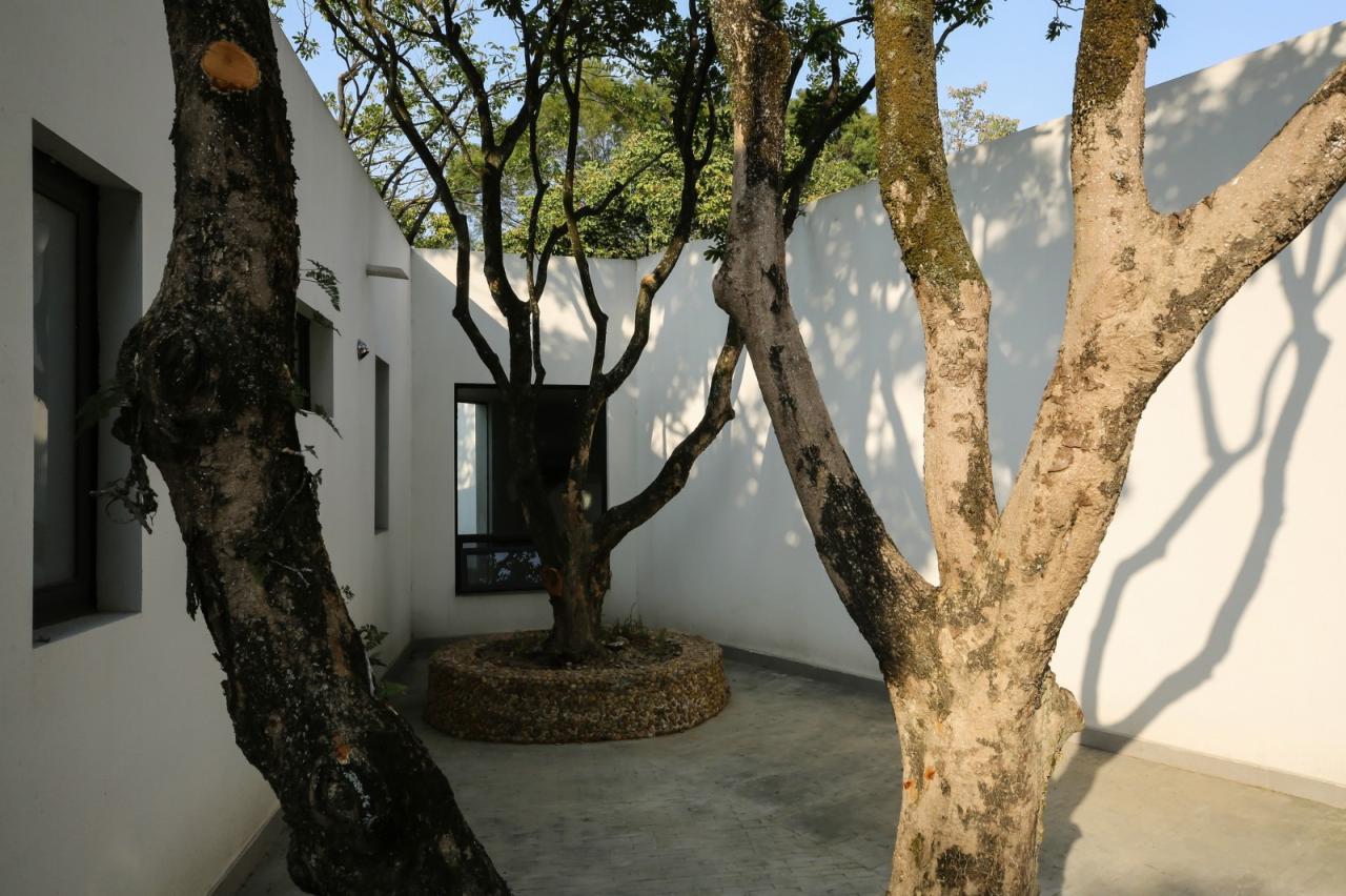 BIM建筑|龙眼树下的院子 / 在场建筑 BIM建筑|龙眼树下的院子 / 在场建筑