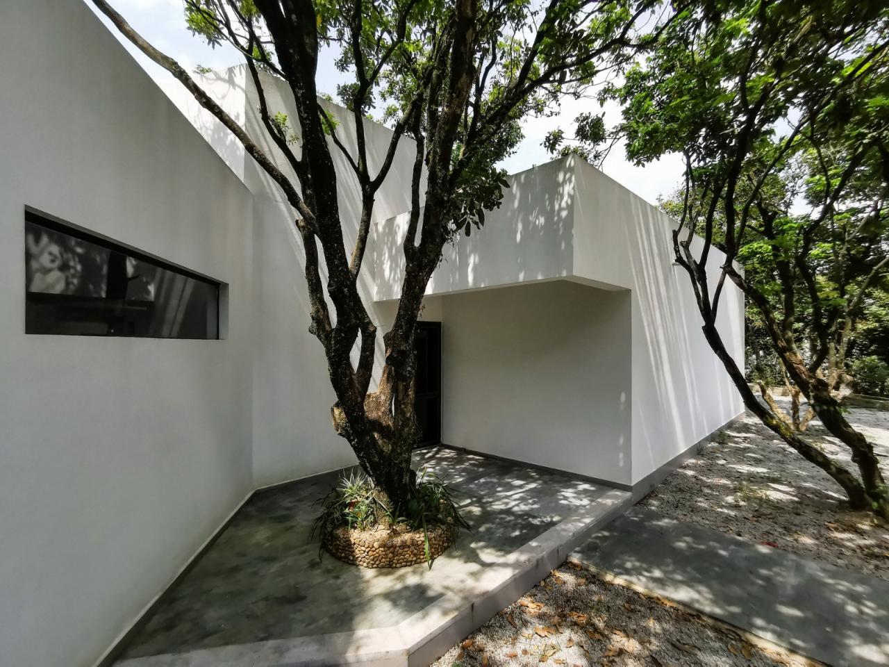 BIM建筑|龙眼树下的院子 / 在场建筑 BIM建筑|龙眼树下的院子 / 在场建筑