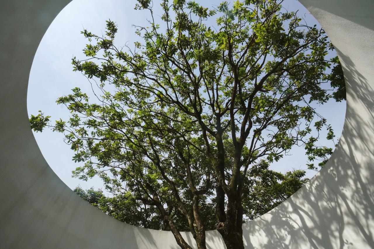 BIM建筑|龙眼树下的院子 / 在场建筑 BIM建筑|龙眼树下的院子 / 在场建筑