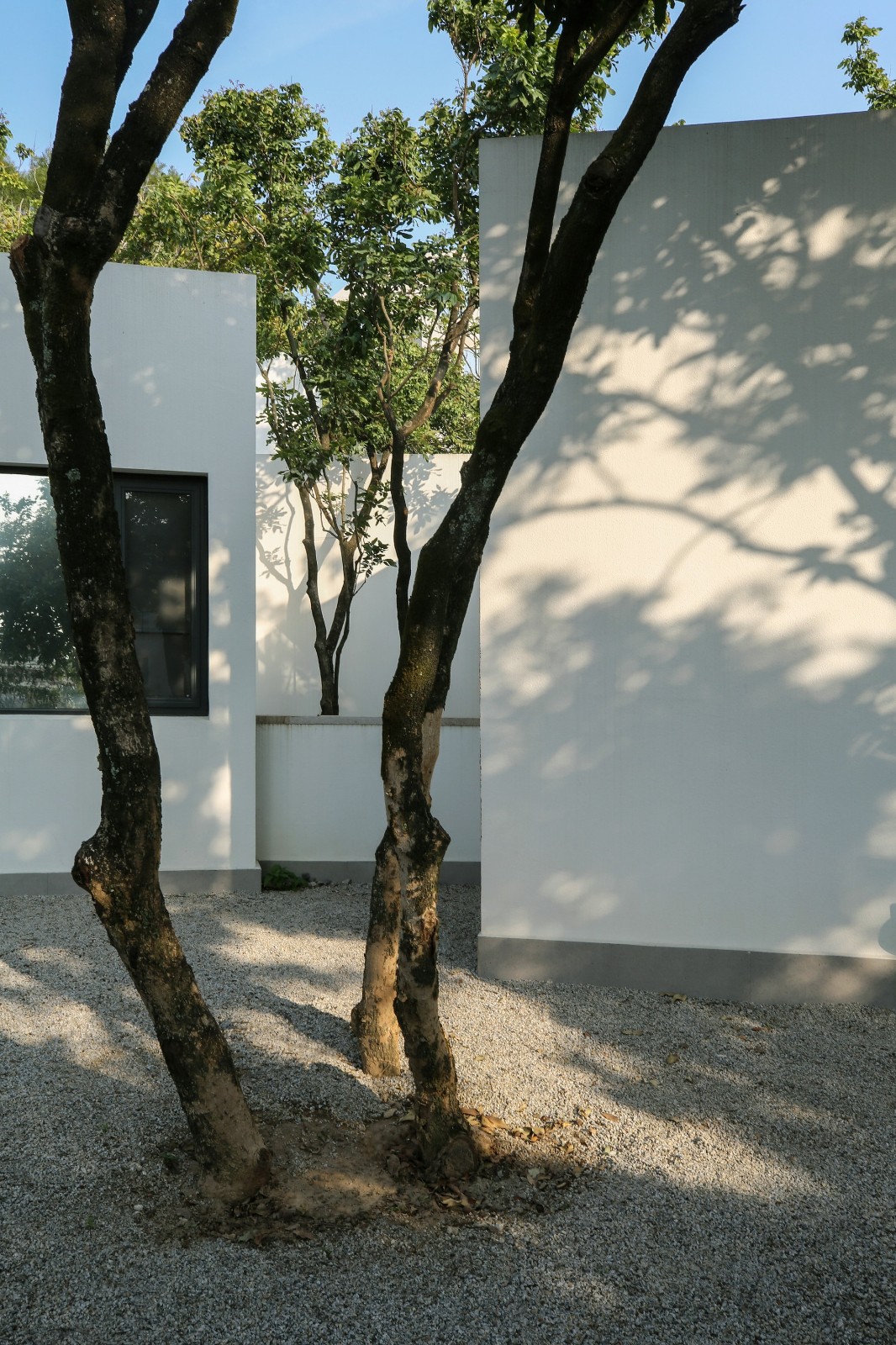 BIM建筑|龙眼树下的院子 / 在场建筑 BIM建筑|龙眼树下的院子 / 在场建筑