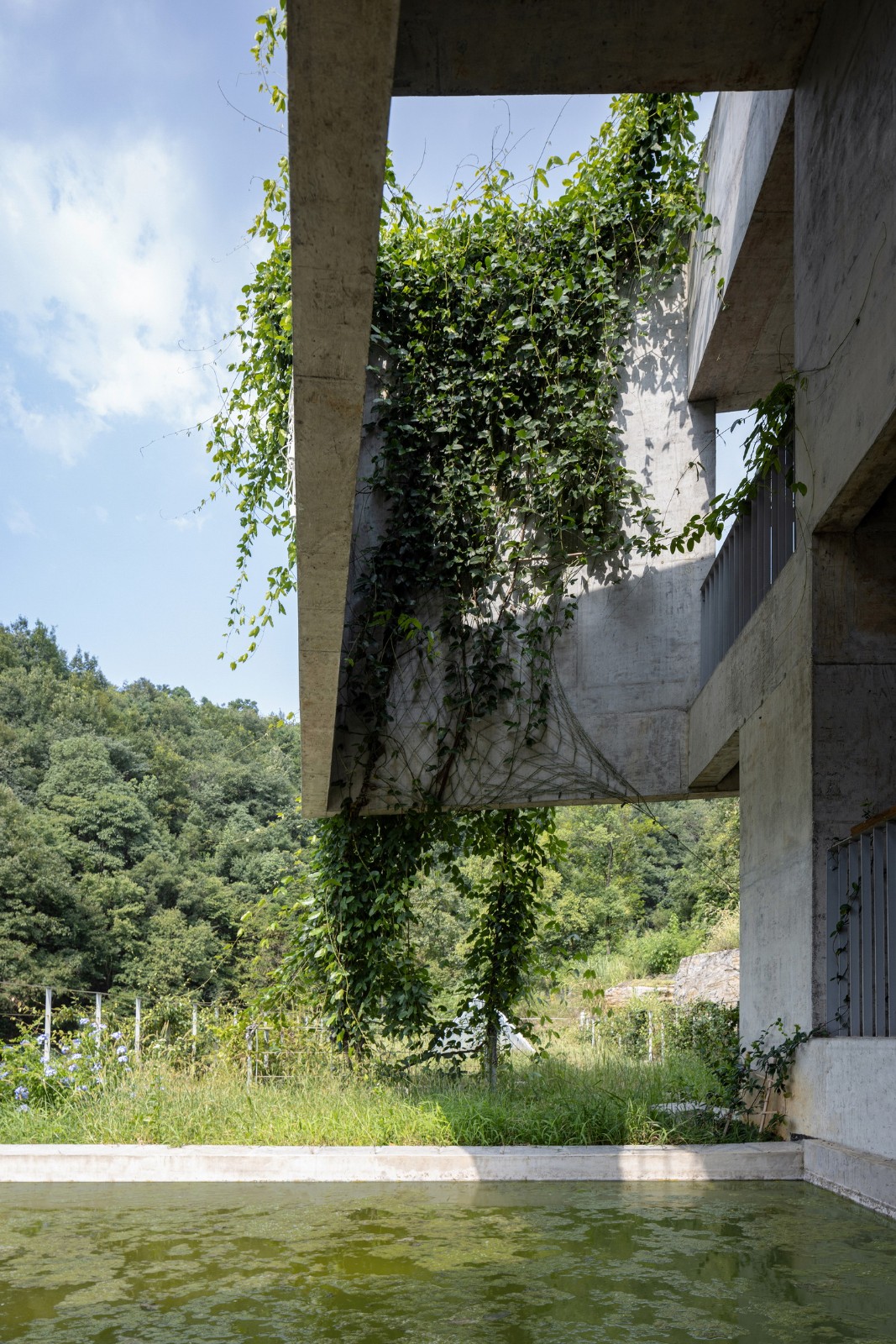 BIM建筑|石羊山壹号住宅 / 小写建筑事务所 BIM建筑|石羊山壹号住宅 / 小写建筑事务所