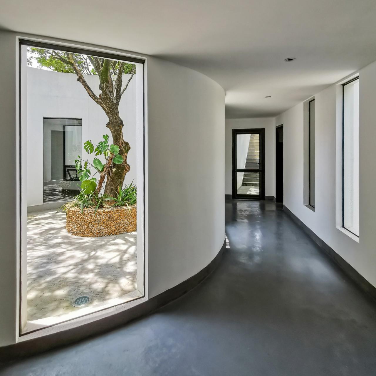 BIM建筑|龙眼树下的院子 / 在场建筑 BIM建筑|龙眼树下的院子 / 在场建筑