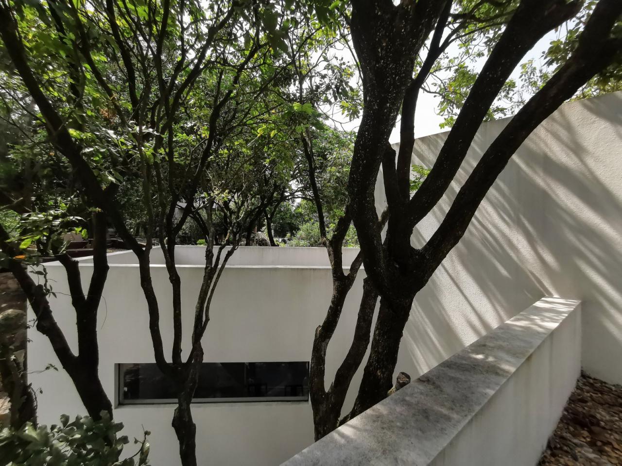 BIM建筑|龙眼树下的院子 / 在场建筑 BIM建筑|龙眼树下的院子 / 在场建筑
