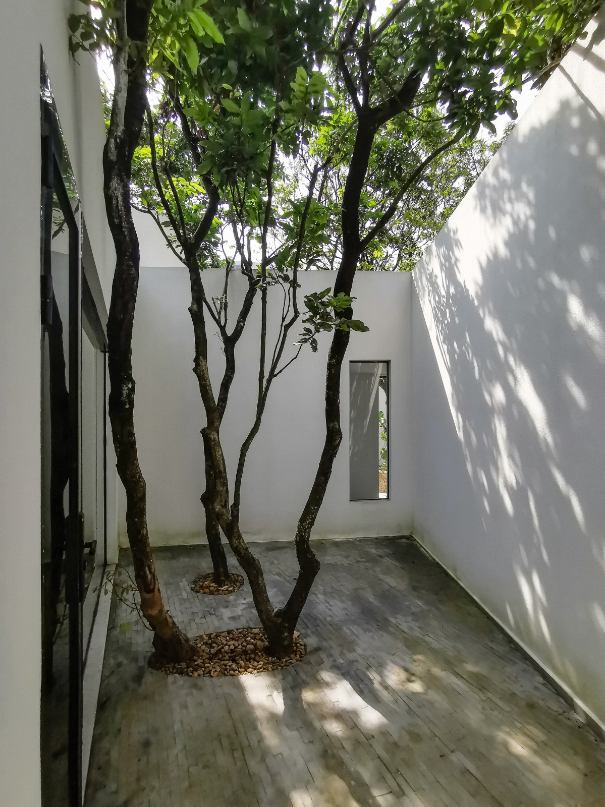 BIM建筑|龙眼树下的院子 / 在场建筑 BIM建筑|龙眼树下的院子 / 在场建筑