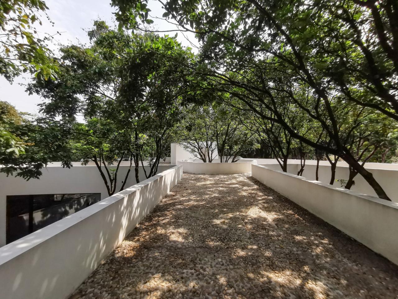 BIM建筑|龙眼树下的院子 / 在场建筑 BIM建筑|龙眼树下的院子 / 在场建筑