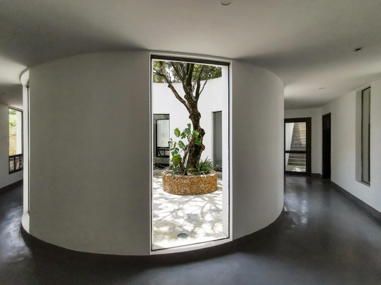 BIM建筑|龙眼树下的院子 / 在场建筑 BIM建筑|龙眼树下的院子 / 在场建筑