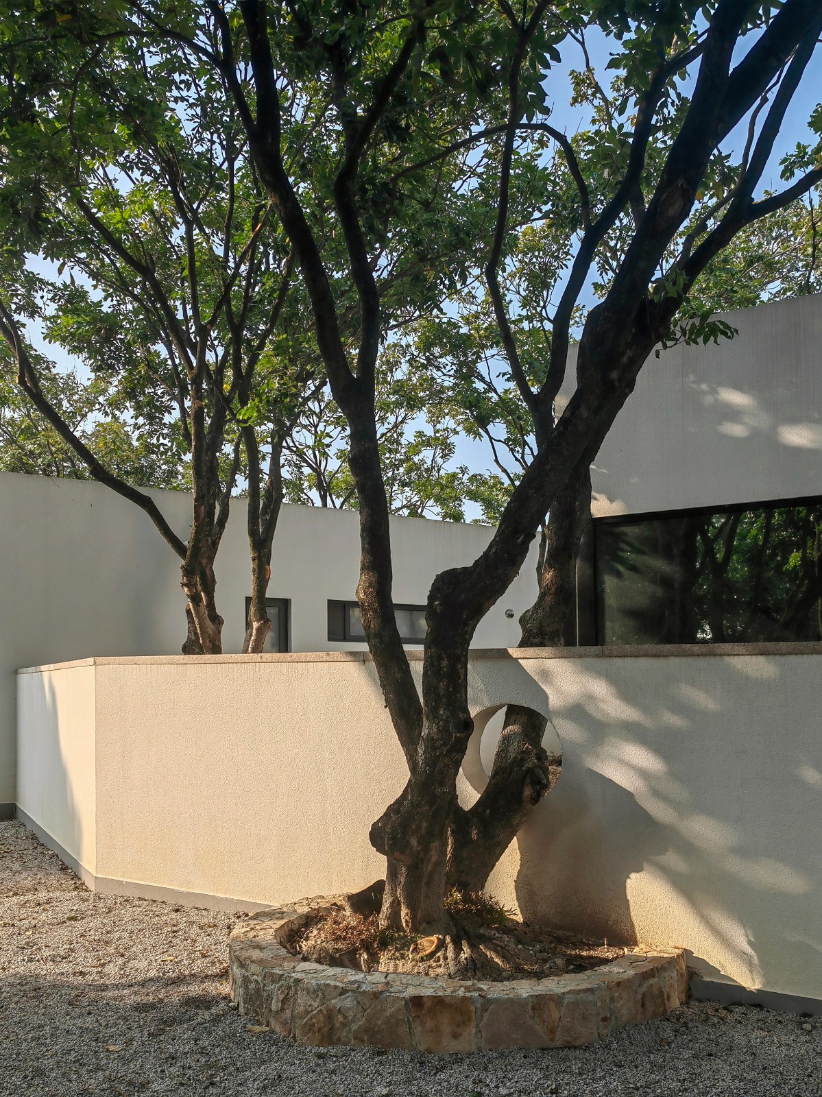 BIM建筑|龙眼树下的院子 / 在场建筑 BIM建筑|龙眼树下的院子 / 在场建筑